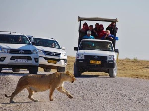Namibia Etosha Familienreise Safari mit eigenem Mietwagen