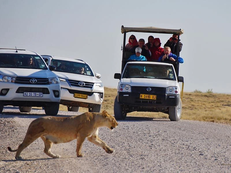 Namibia Etosha Familienreise Safari mit eigenem Mietwagen
