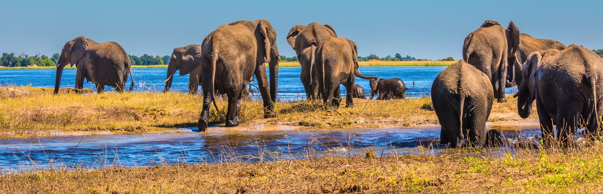 Okavango Delta Botswana