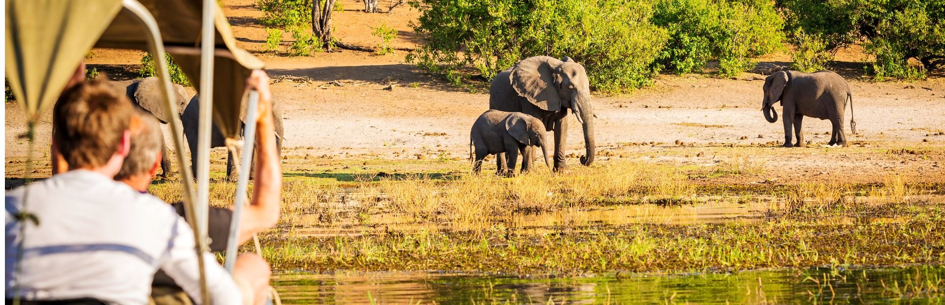 Botswana - Elefanten Chobe Bootssafari