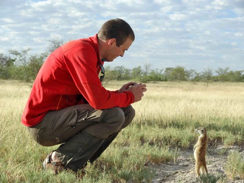 Begegnung mit Erdmännchen