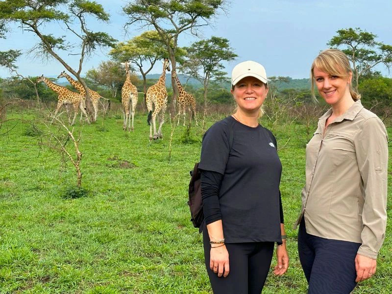 Uganda Lake Mburo Wandersafari Reisende posieren vor einer Herde Giraffen