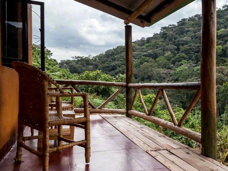 Uganda Bwindi Lodge