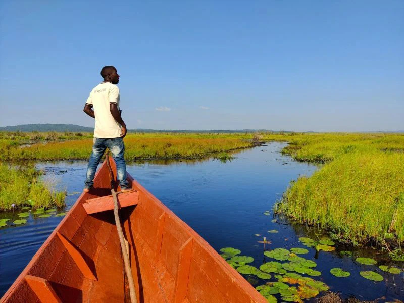 Uganda Entebbe Bill Bird Bootsfahrt Vogel Beobachtung