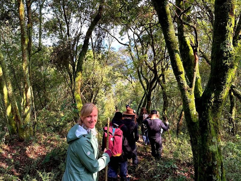Gorilla Tracking Bwindi Uganda