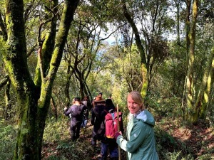 Gorilla Tracking in Bwindi Uganda
