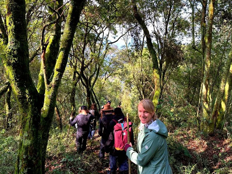 Gorilla Tracking in Bwindi Uganda