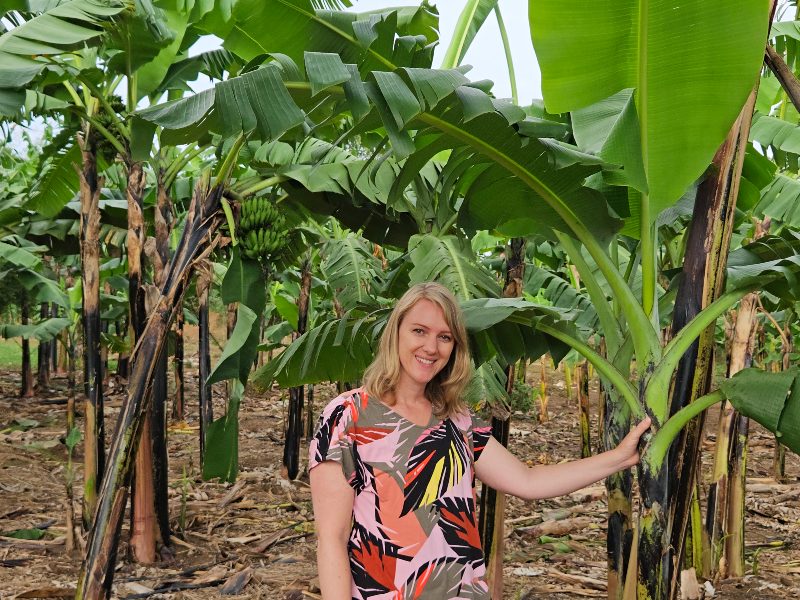 Jjaja Bbanga Reisende umgeben von Bananenbäumen Uganda