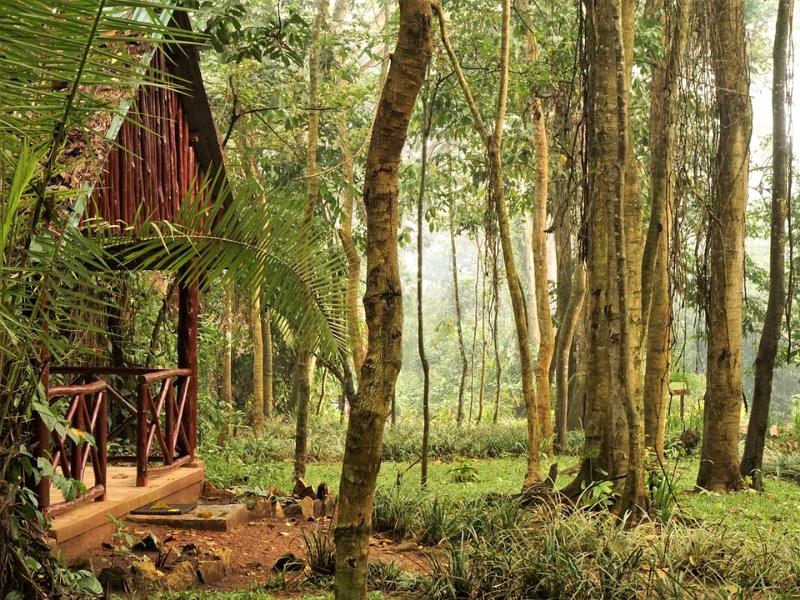 Uganda Unterkunft Kibale im Busch