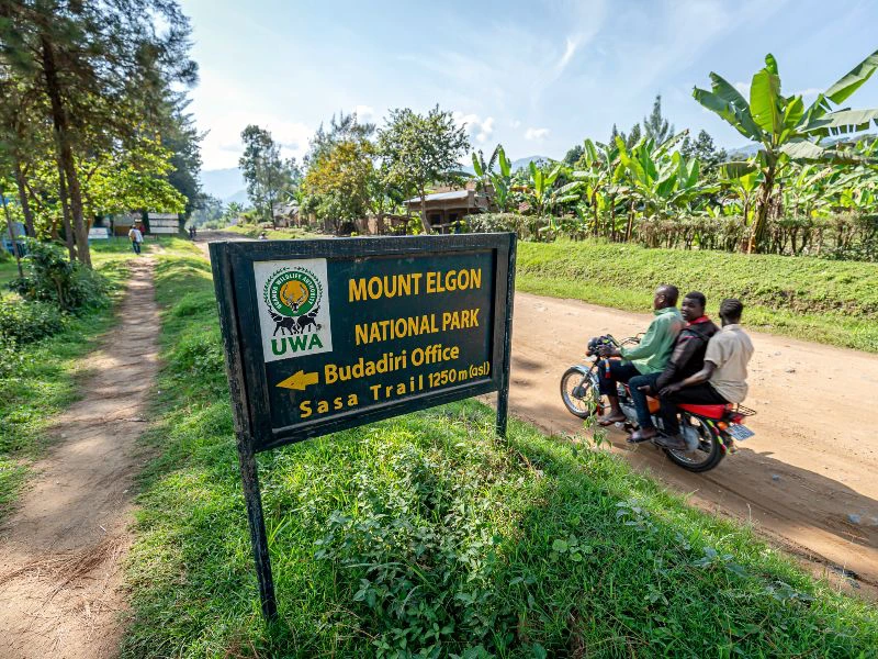 Uganda - Mount Elgon - StraĂźe