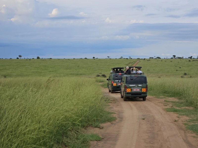 Uganda - Murchison Falls Game Drive Geländewagen