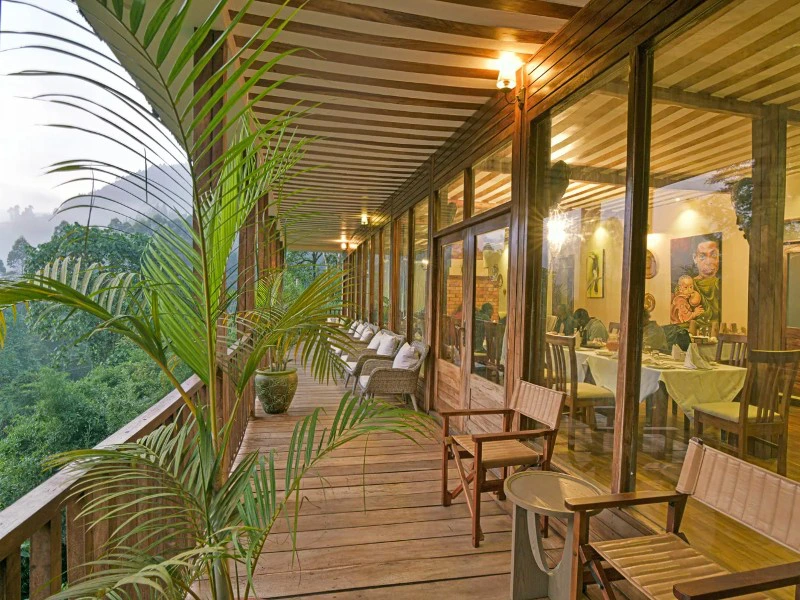 Bwindi Komforthotel Uganda