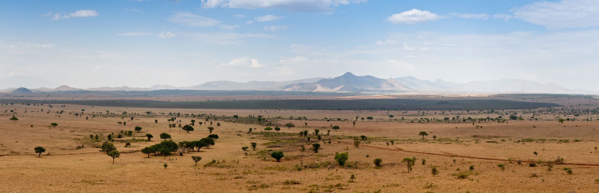Kidepo Nationalpark Uganda