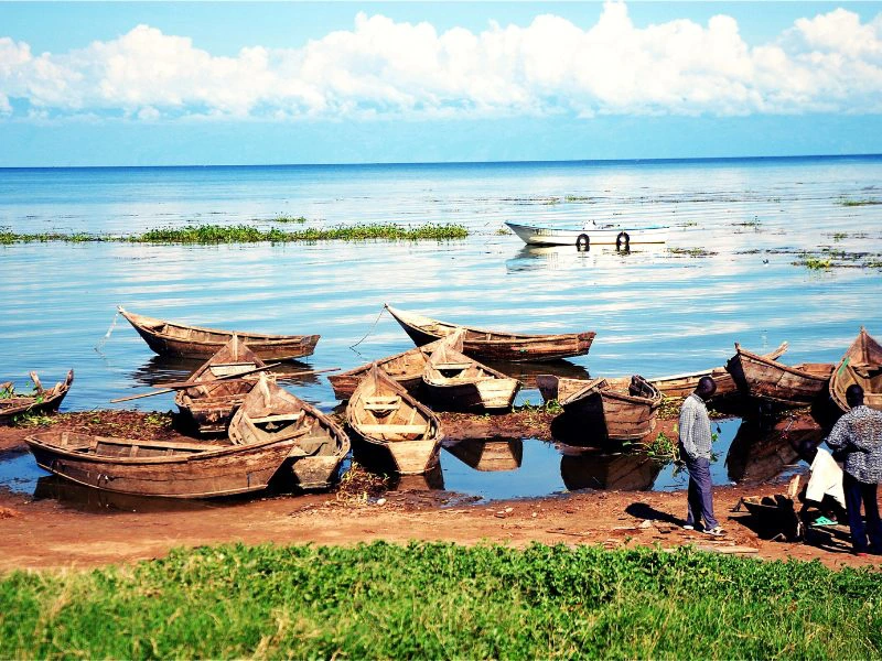 Bootstour auf dem Lake Victoria Uganda