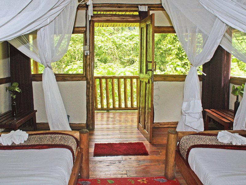 Uganda Bwindi Restcamp Hotel