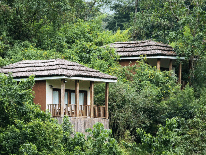 Bwindi Special Stay Hotel Uganda