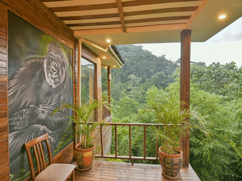 Bwindi Special Stay Hotel Uganda