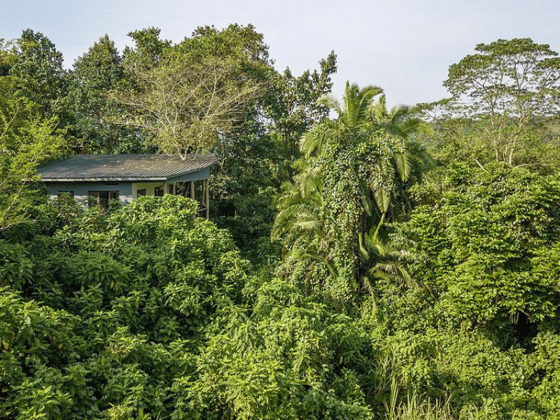 Kibale Komforthotel Uganda