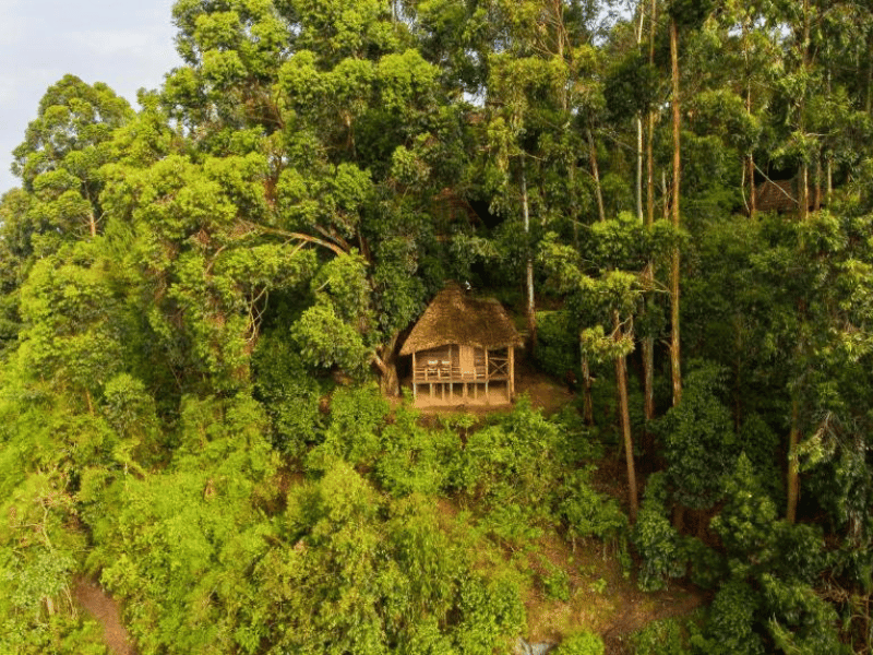 Lake Bunyonyi Special Stay Hotel Uganda