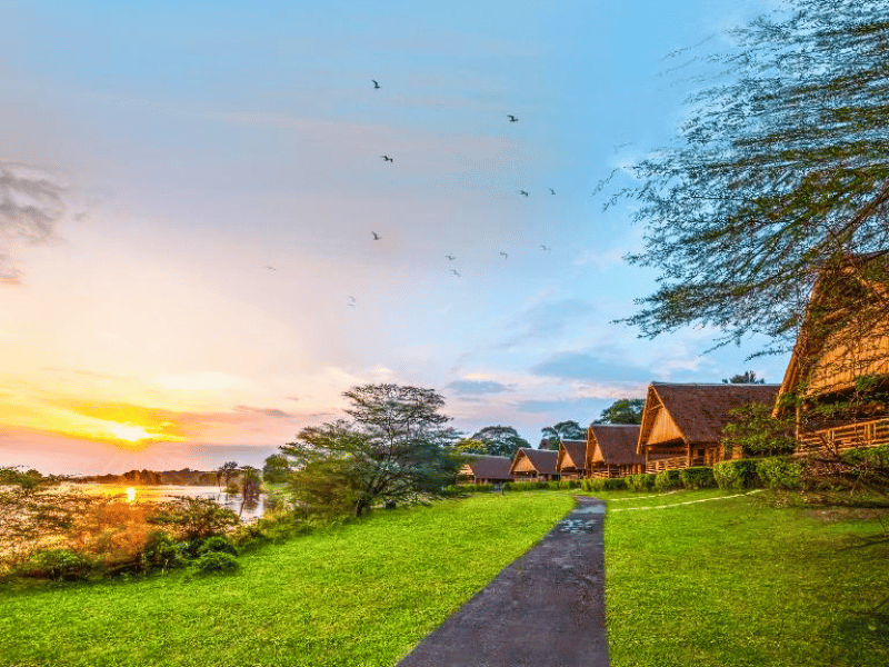 Murchison Falls Special Stay Hotel Uganda