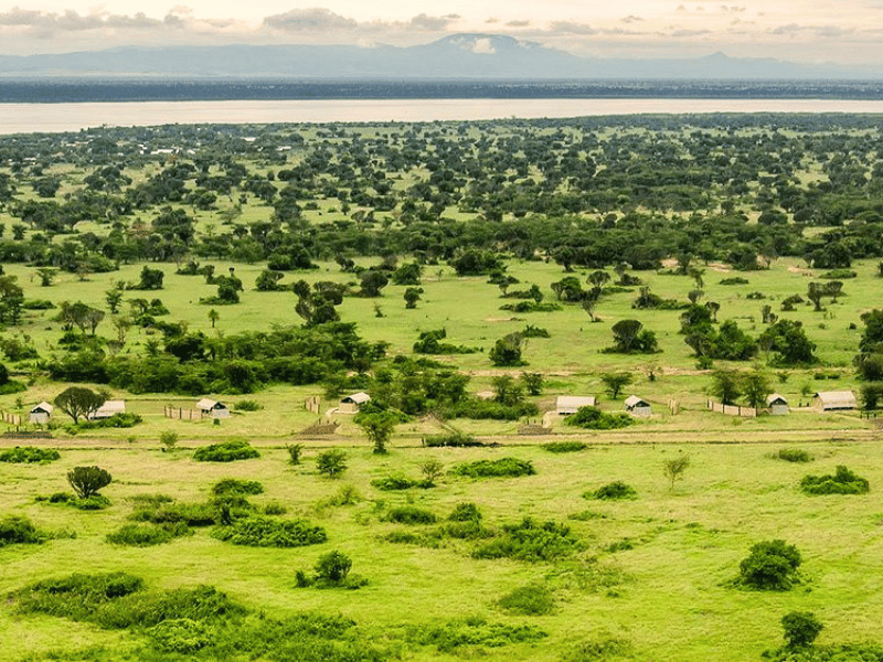 Queen Elizabeth Special Stay Hotel Uganda