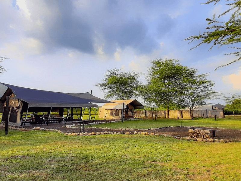 Queen Elizabeth Special Stay Hotel Uganda