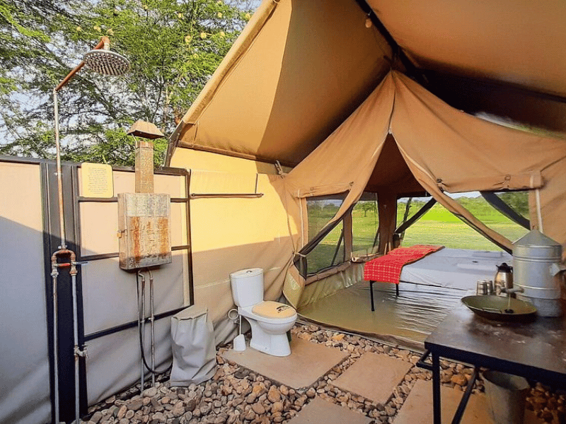 Queen Elizabeth Special Stay Hotel Uganda