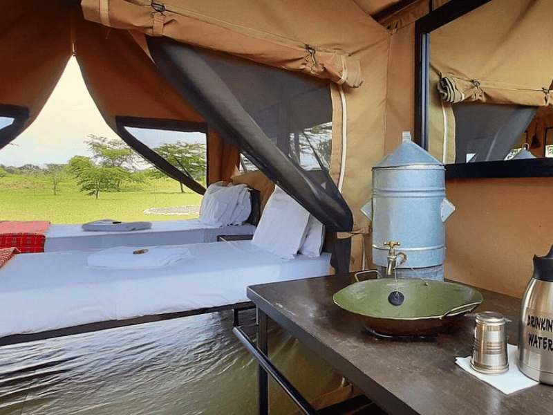 Queen Elizabeth Special Stay Hotel Uganda