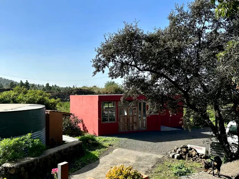 Kanaren La Palma kleines Häuschen inmitten von Natur