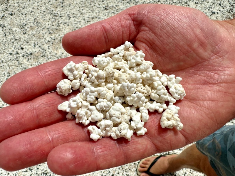 Kanaren Corralejo Popcornstrand