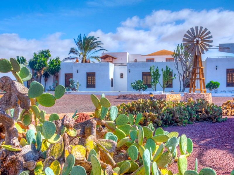 Kanaren Fuerteventura Käse museum