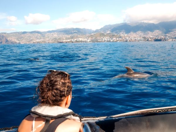 La gomera el hierro Delfin Sichtung