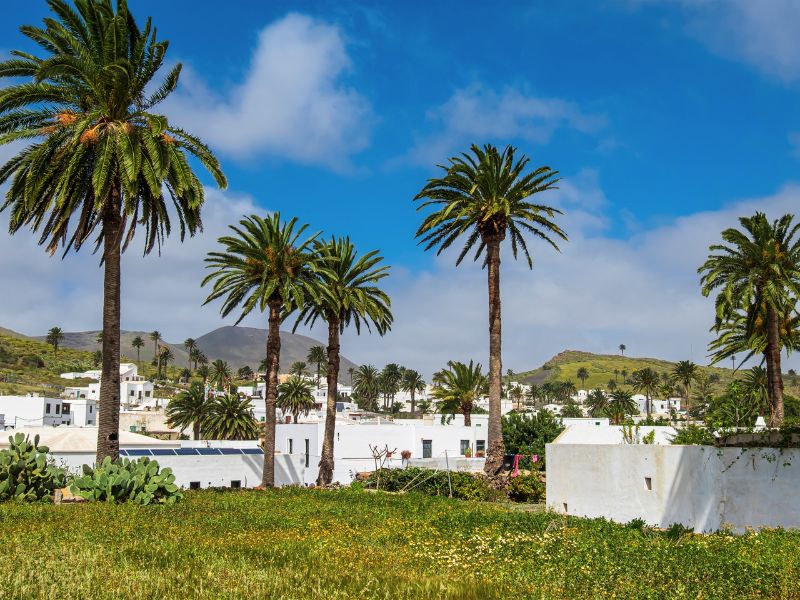 Kanaren Lanzarote Ausblick auf das Unterkunft Gelände