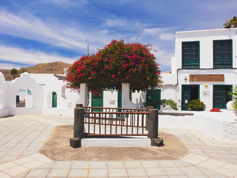 Kanaren Lanzarote Haria Unterkunft mit Bunten Bäumen