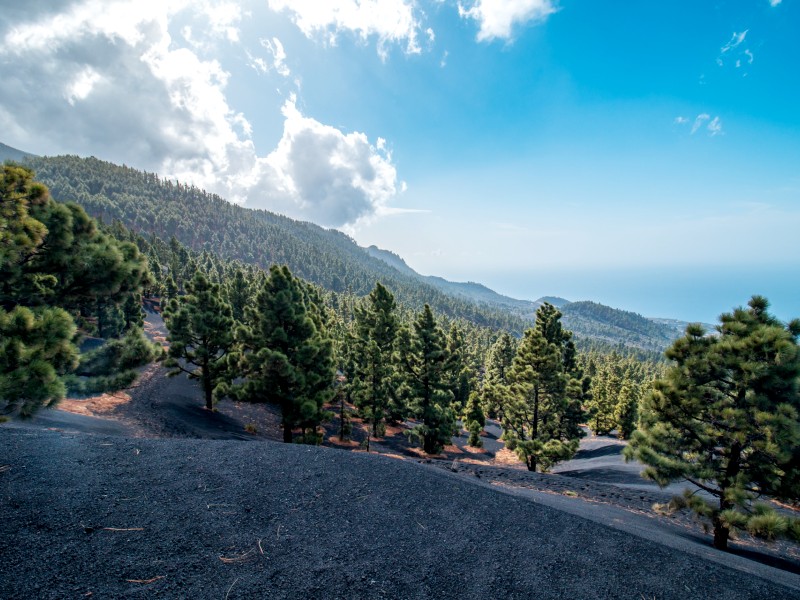 Kanaren La Palma Berglandschaft