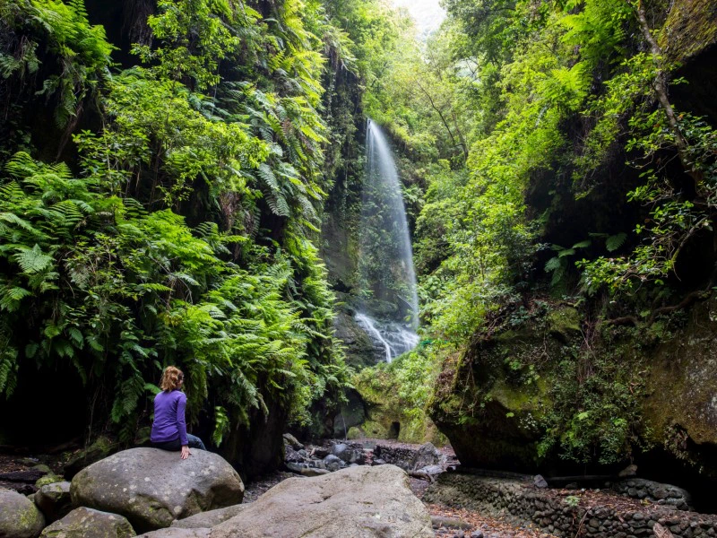 Kanarische Insel La Palma Los tilos Wasserfall umgeben von hohen Bäumen