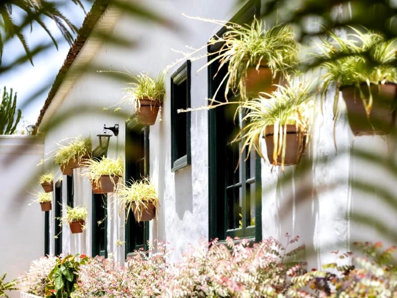 Kanaren Teneriffa Komfort Unterkunft außen Ansicht