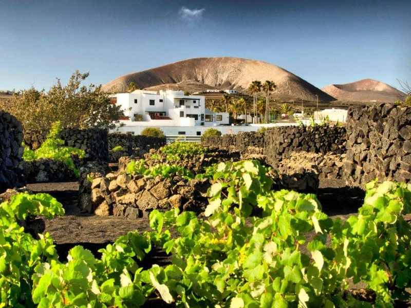 Kanaren Lanzarote Unterkunft Ausblick auf die Anlage