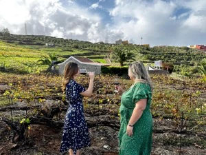 Kanarische Inseln La Palma Weingut
