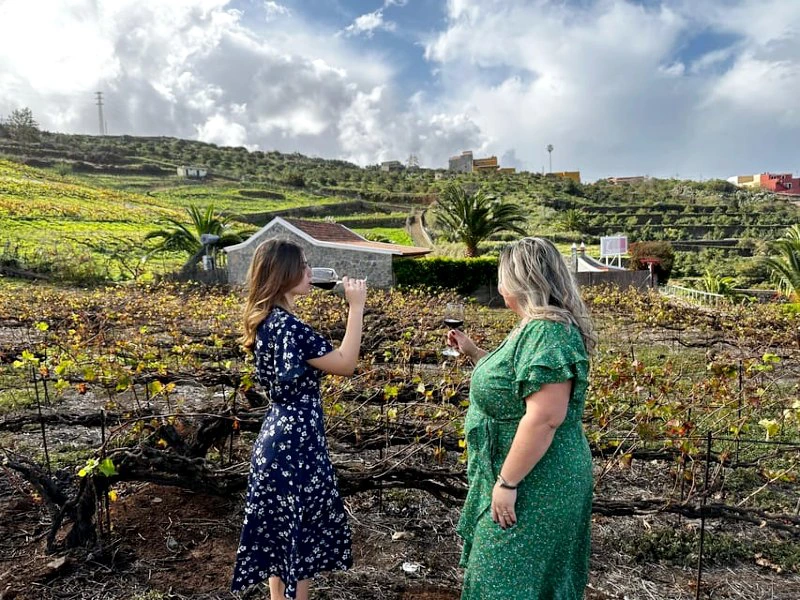 Kanarische Inseln La Palma Weingut