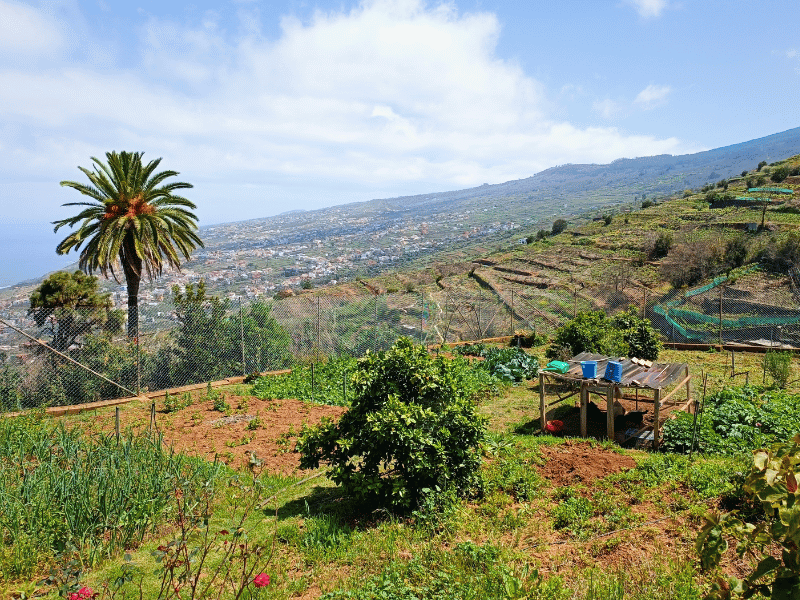 Farm in Puerto de la Cruz auf Teneriffa auf den Kanaren