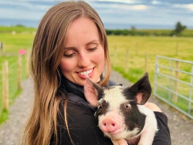 Schottland Aberdeen reisende mit einem Ferkel auf dem Arm