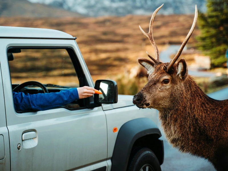 Schottland mit dem Auto