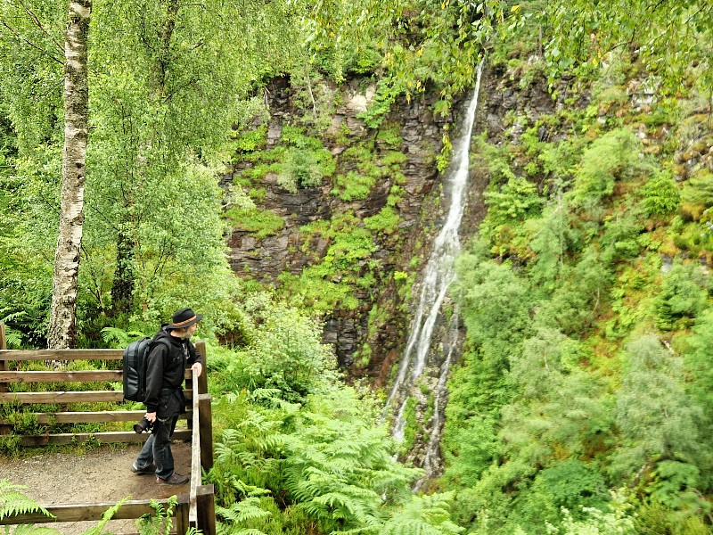 Schottland Gorge Natur Reservat