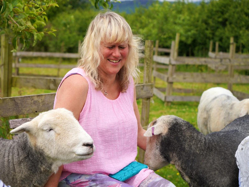 Schottland Loch Lomond Hightea mit Schafen