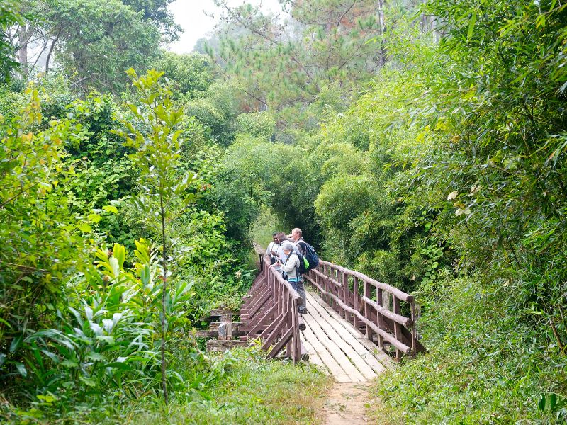 Brücke im Andasibe Naionalpark Madagaskar