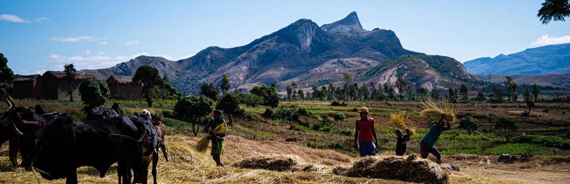 Madagaskar Ambalavao Landschaft