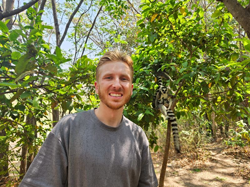 Madagaskar - Ambalavao - Katta