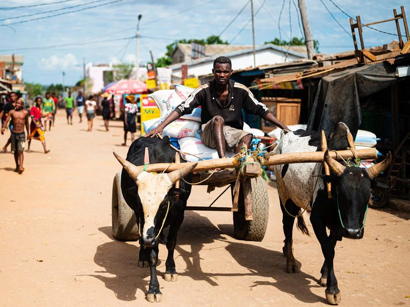Eselkarren in Bekopa Madagaskar