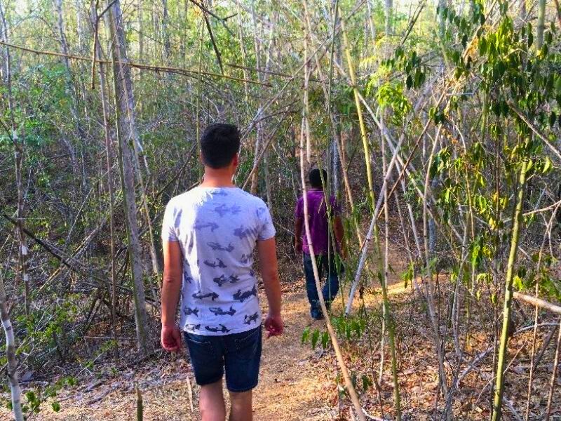 Madagaskar Kirindy Forest